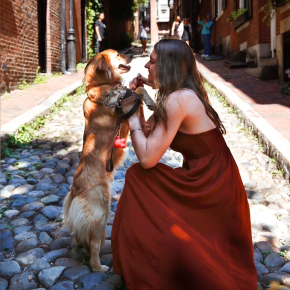 Sunshine, Rescue Dogs & Books 🌞🐕📚 | Priced to Sell Fast ✨ - Picture 5 of 10